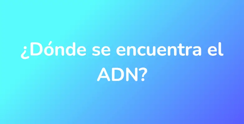 ¿Dónde se encuentra el ADN?