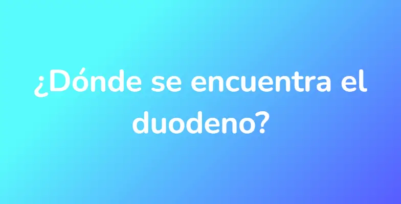 ¿Dónde se encuentra el duodeno?