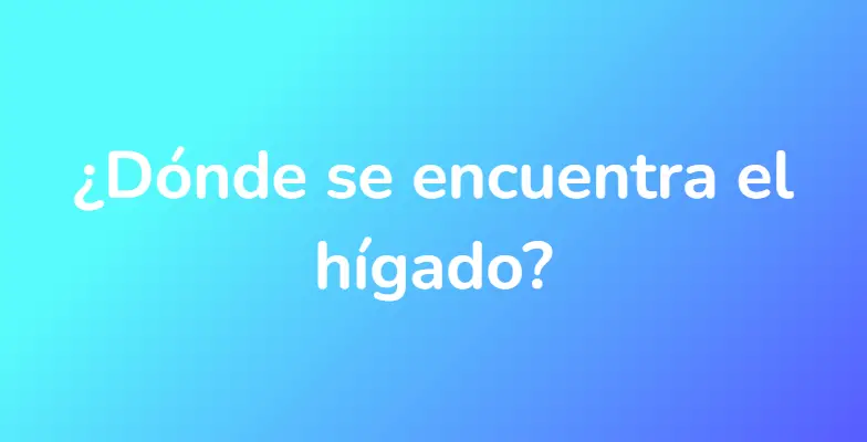 ¿Dónde se encuentra el hígado?