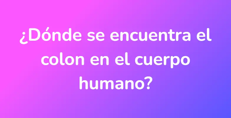 ¿Dónde se encuentra el colon en el cuerpo humano?