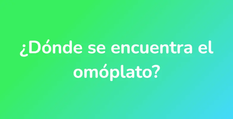 ¿Dónde se encuentra el omóplato?