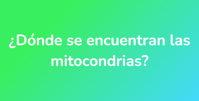 ¿Dónde se encuentran las mitocondrias?