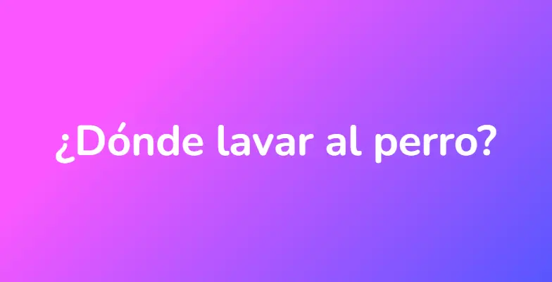 ¿Dónde lavar al perro?